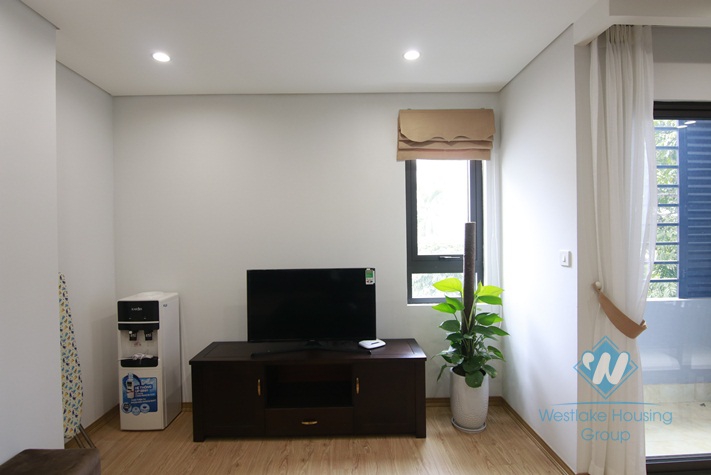 Two bedrooms apartment for rent in Ho Tung Mau, Hanoi